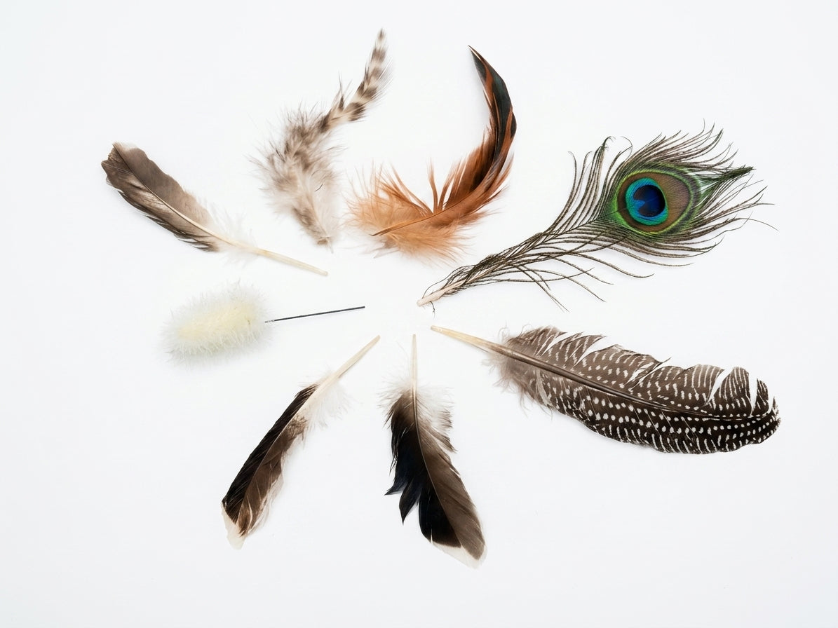 Feather Embellishments - 3 Pack