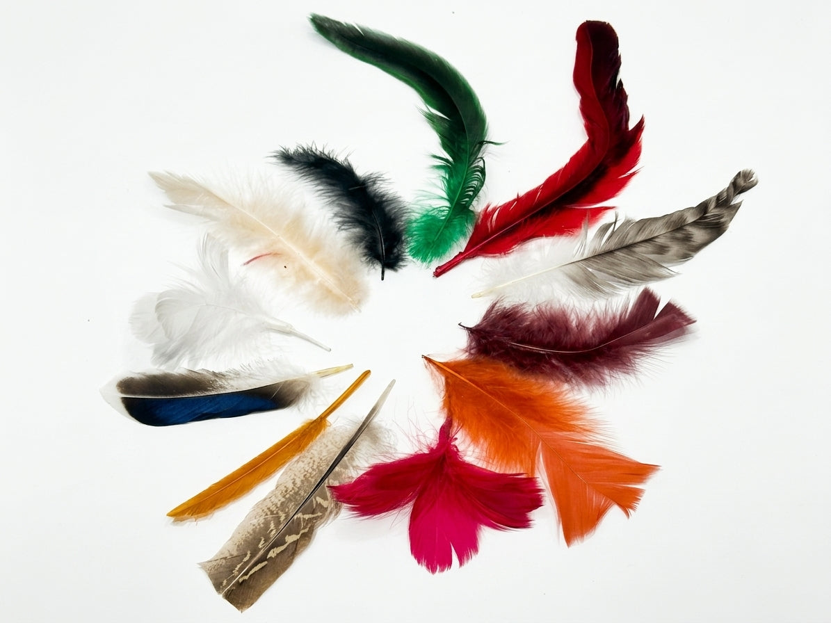 Feather Embellishments - 3 Pack